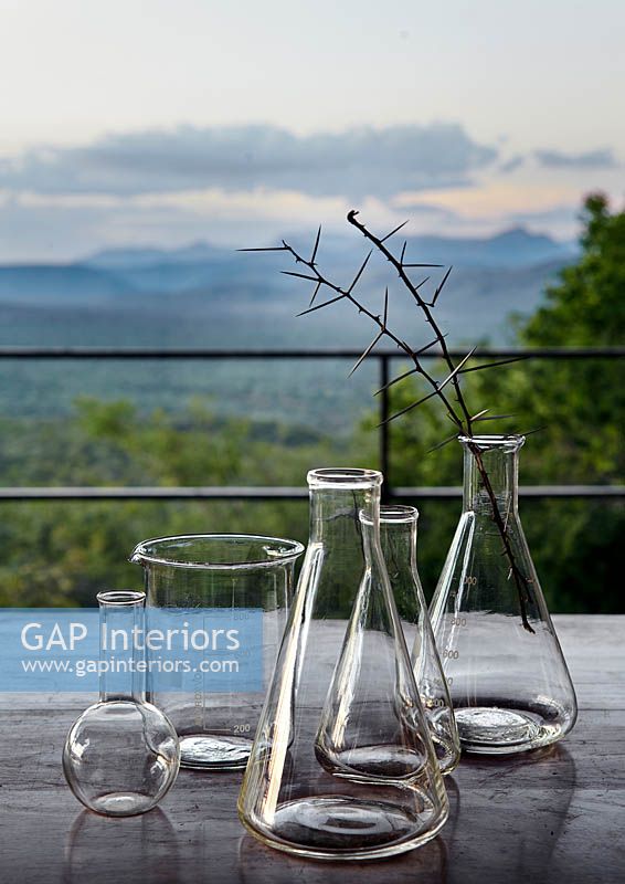 Glass beakers on garden table