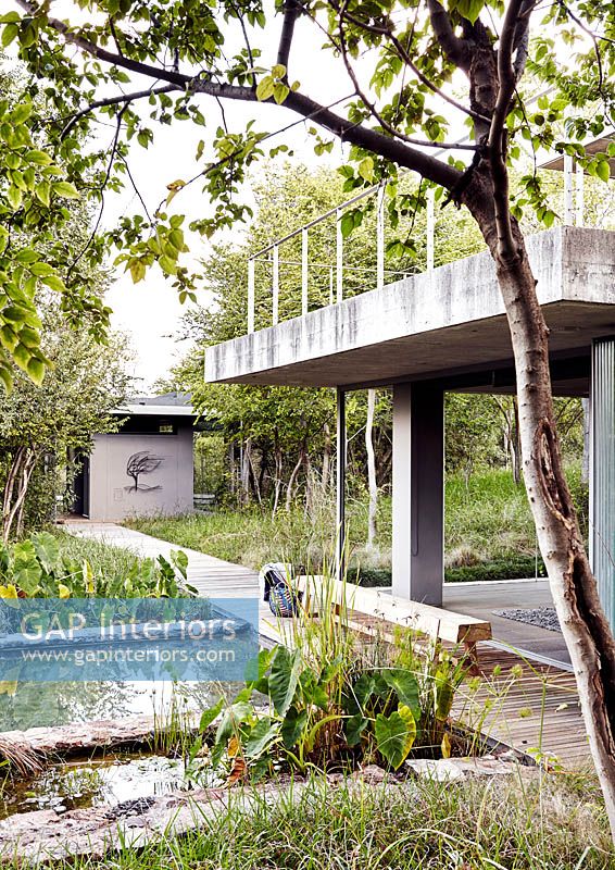 Contemporary house and garden