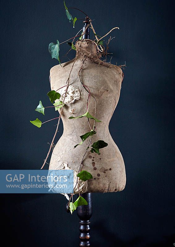 Ivy foliage wrapped around vintage tailors dummy