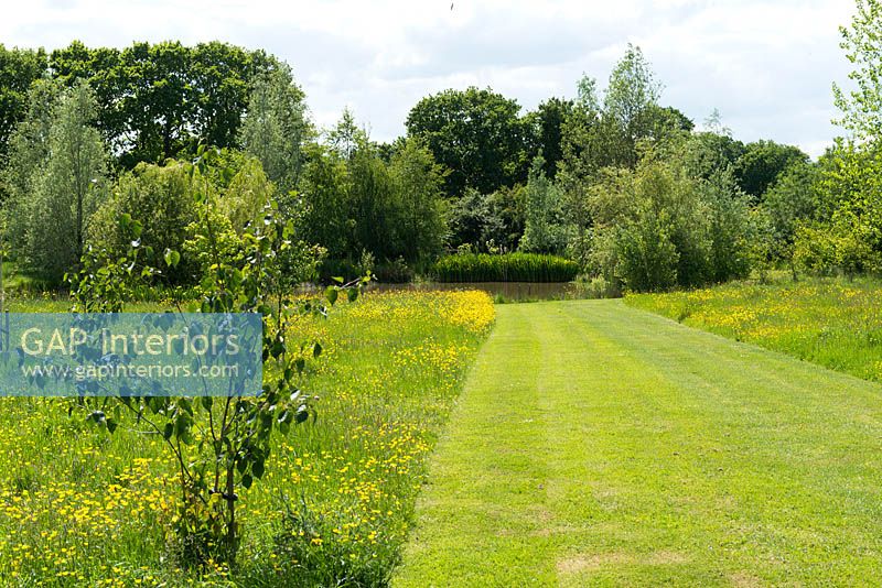 Mown path through meadow garden