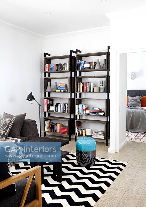 Modern living room with bookshelves