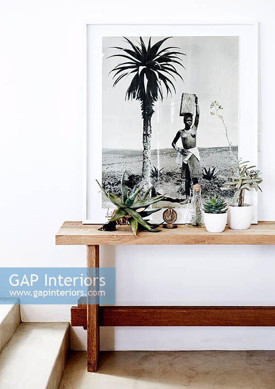 Houseplants on wooden console table