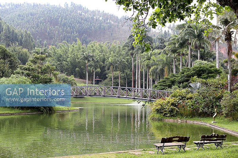 Tropical garden with lake
