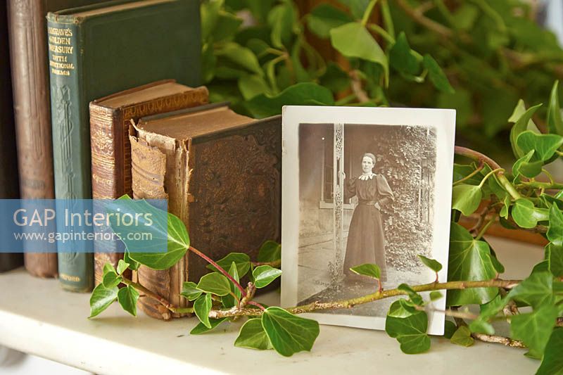 Vintage postcard with Ivy foliage