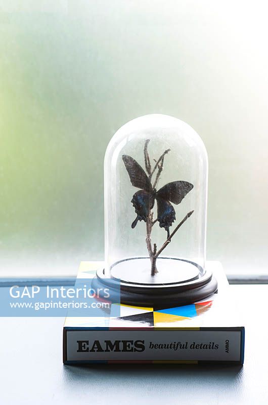 Glass dome with butterfly