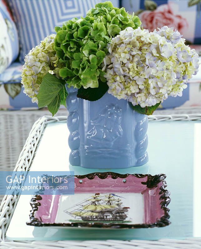 Hydrangea flowers in blue vase