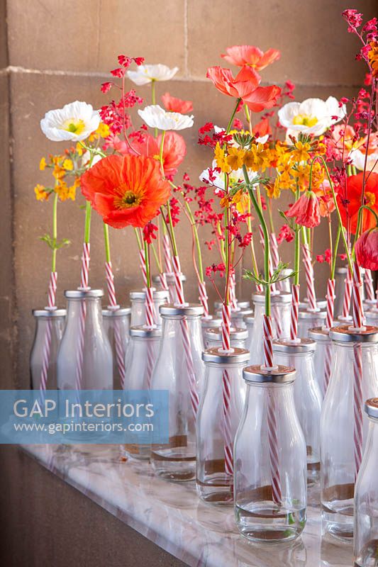Floral display with Poppies and Primula flowers in retro milk bottles