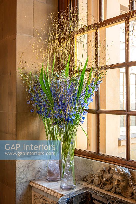 Tall glass vases with Delphiniums and Stipa gigantea grass foliage