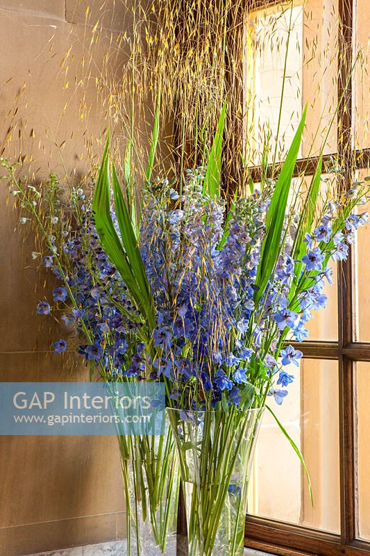 tall glass vases with Delphiniums and Stipa gigantea grass foliage