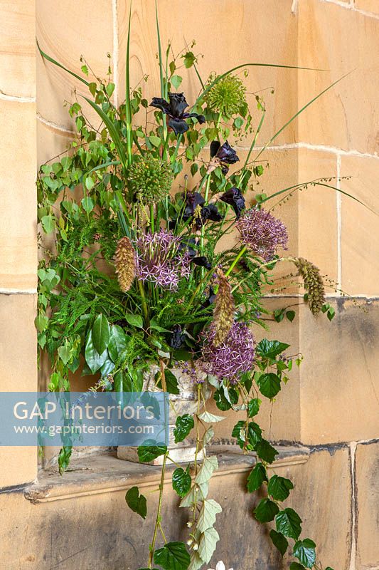 Allium Cristophii, Bearded Iris and Candytuft flowers in urn