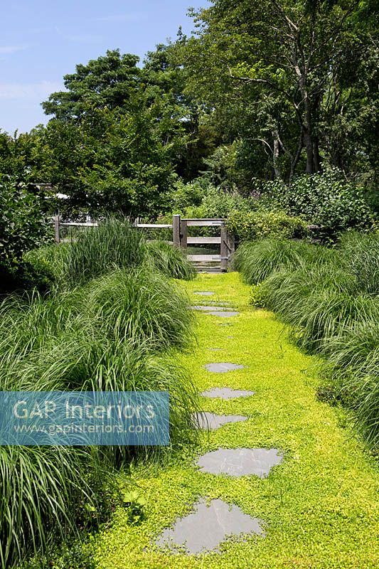 Path through borders of ornamental grasses