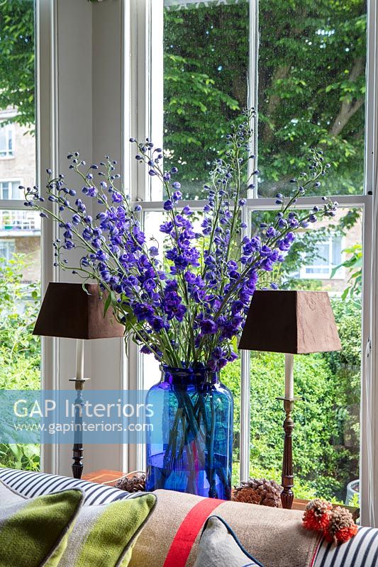 Delphinium flowers in blue vase