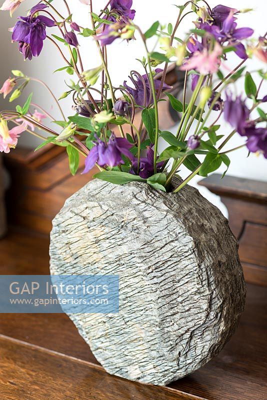 Aquilegia flowers in textured vase