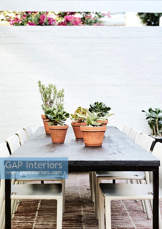Pot plants on garden table