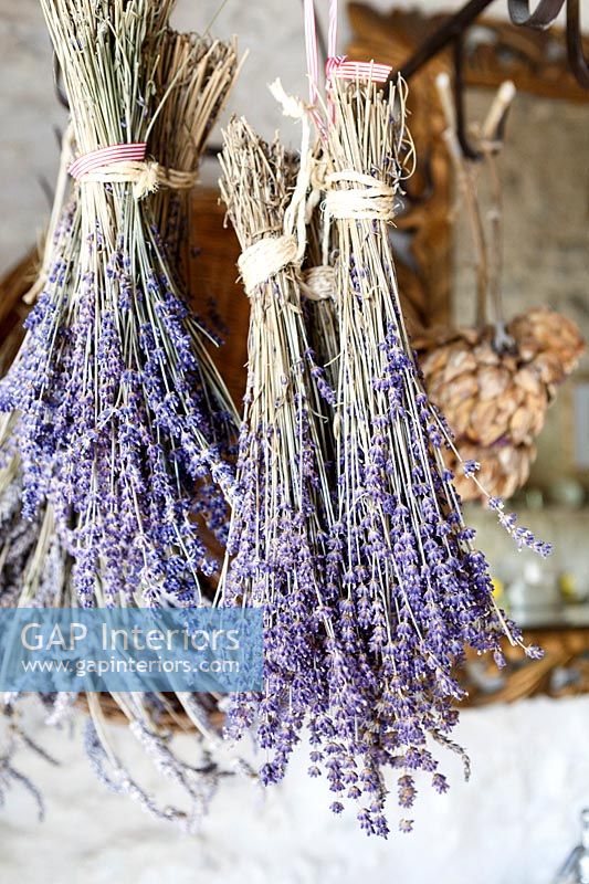 Bunches of dried Lavender