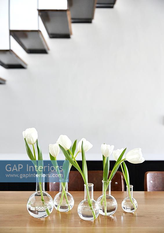 Tulips on dining table
