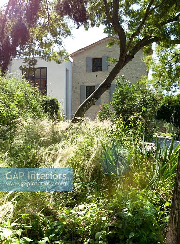 Informal garden with grasses