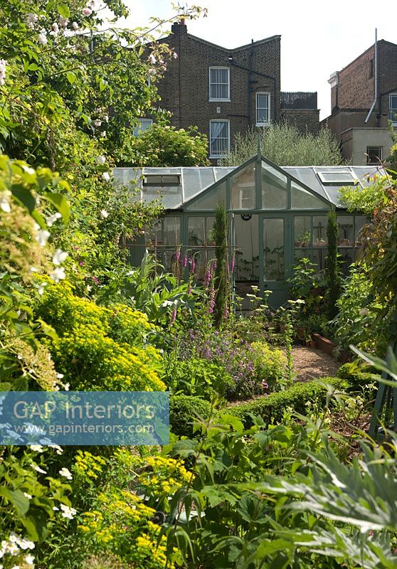 Back garden with greenhouse