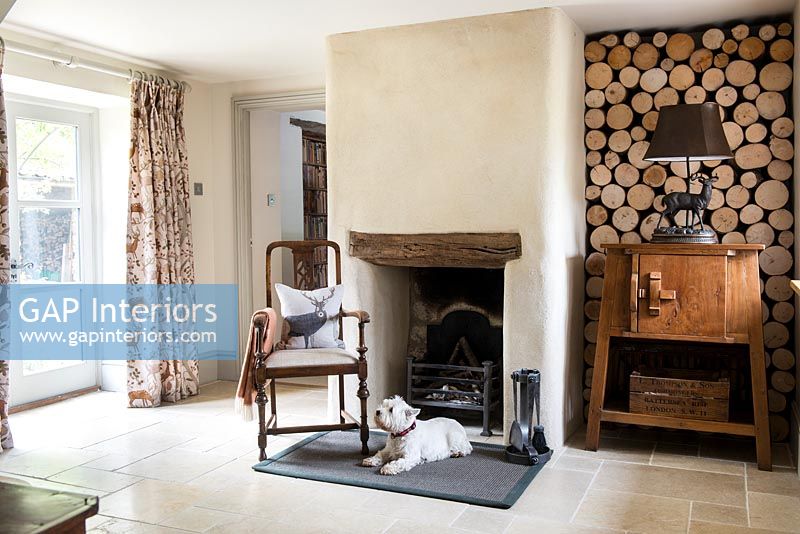 Pet dog sitting by fireplace