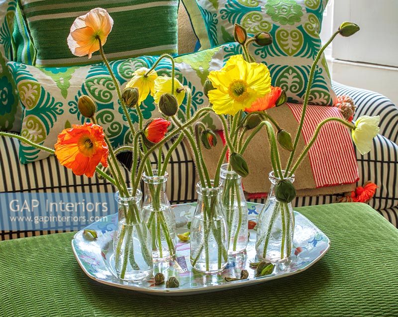 Poppies in glass containers