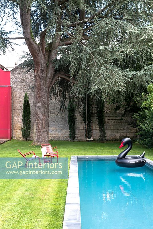 Garden with swimming pool