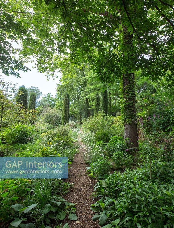 Path through garden borders