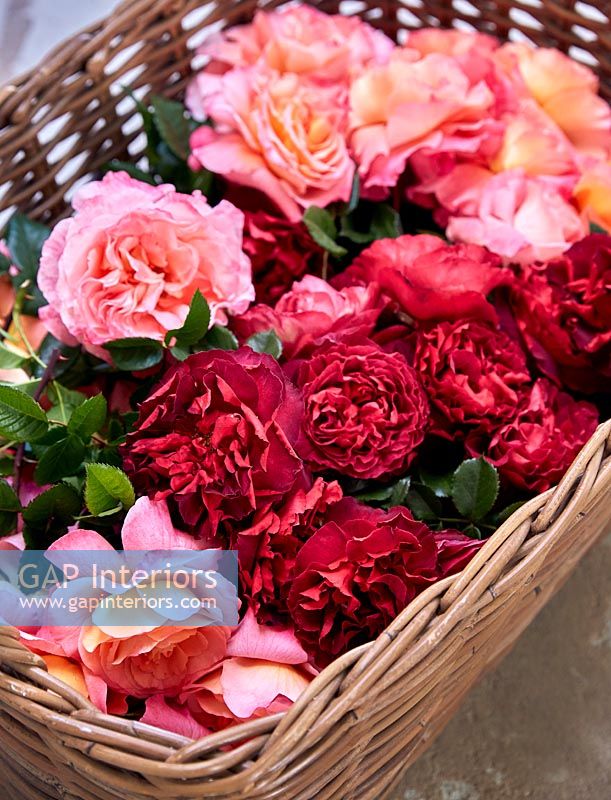 Basket of Rose flowers