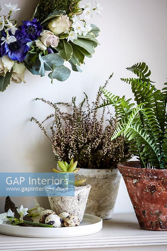 Floral display with Heather, Ferns and succulents in pots