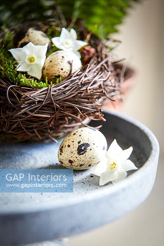 Quails eggs and Narcissus flowers