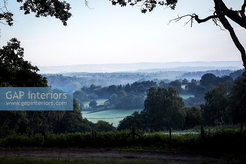 View over countryside, Surrey, UK