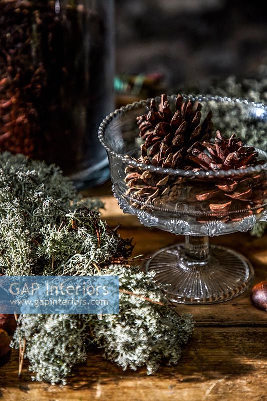 Detail of pine cones displayed in a glass dish