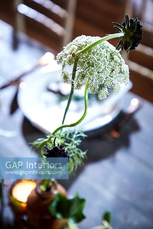 Detail of flower at place setting on a decorated table
