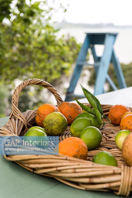 Citrus fruit in a basket