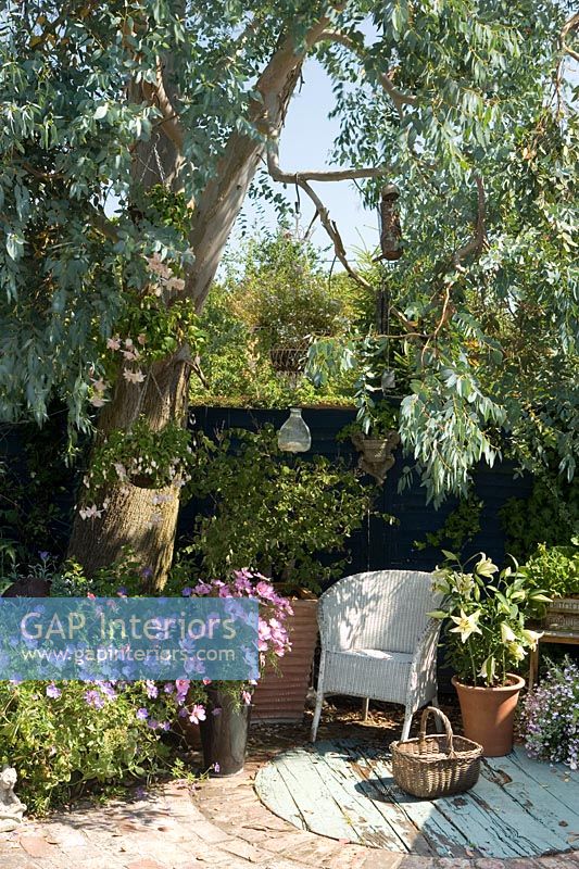 Chair in cottage garden