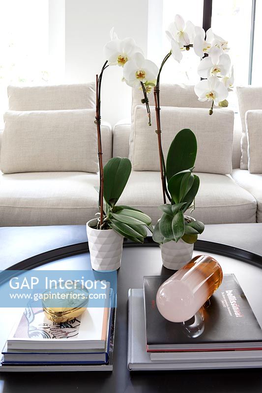 Potted orchids on coffee table in modern black and white living room