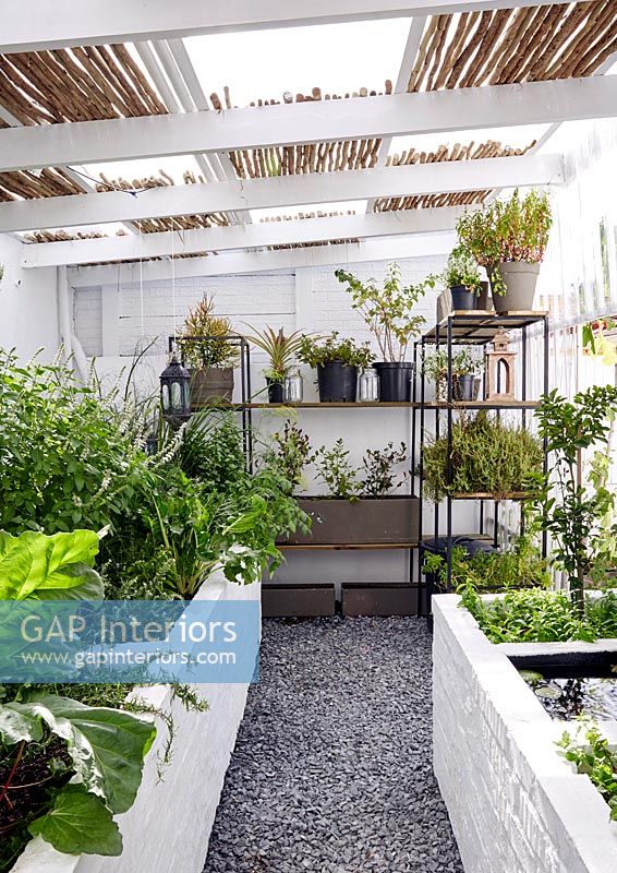 Plants on shelves and in planters