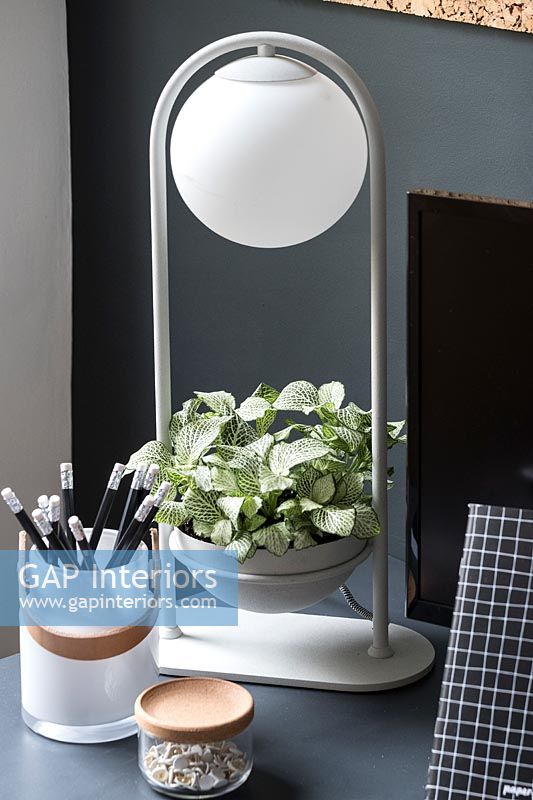 Modern lamp with plant holder in one 