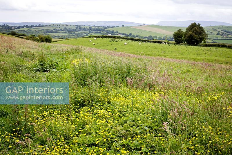 Meadow with farmland and countryside views beyond 