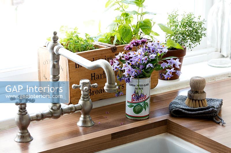 Classic mixer tap and pots of herbs in country kitchen 