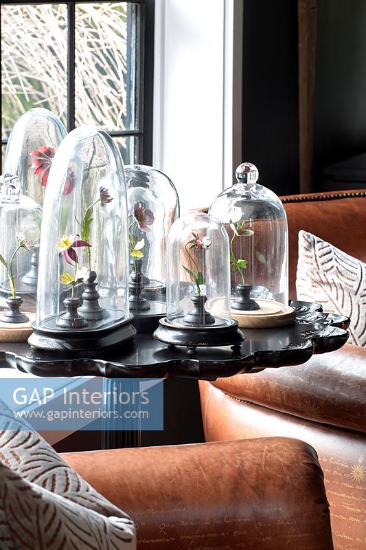 Collection of glass cloches on black side table 