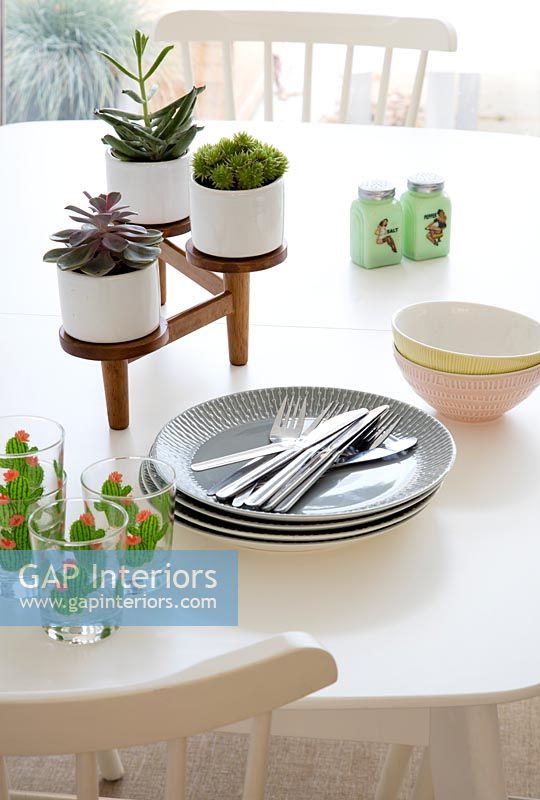 Tiny plant pots on modern dining table 
