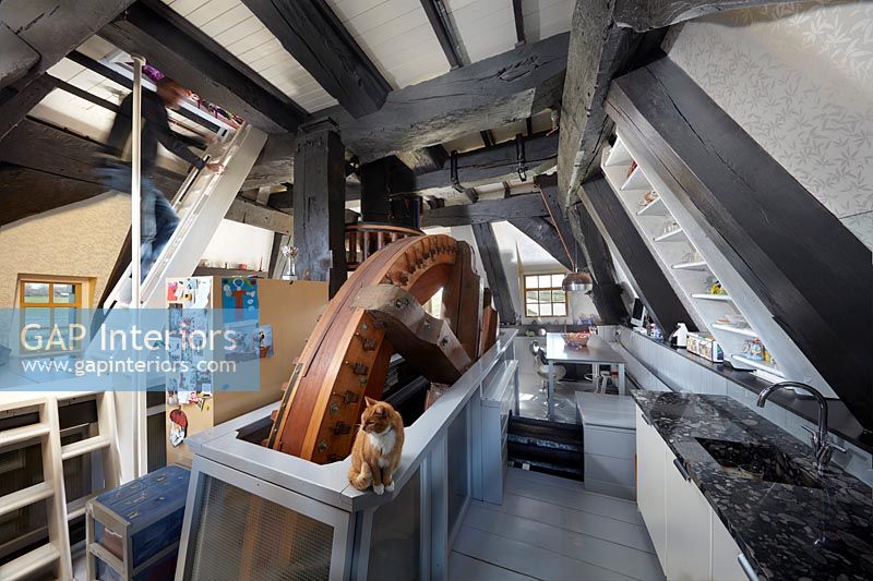 Cat in C16th Dutch Windmill - Modern kitchen 