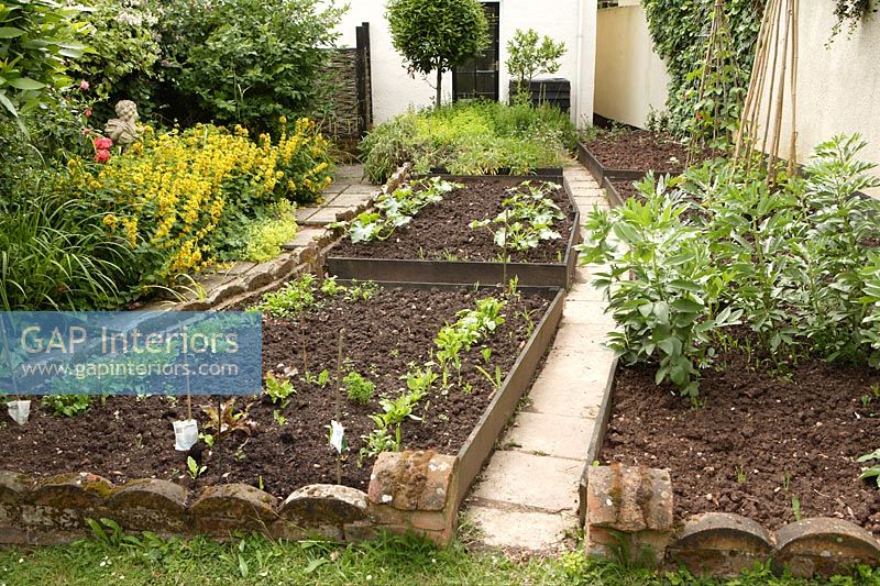 Raised beds in country garden 