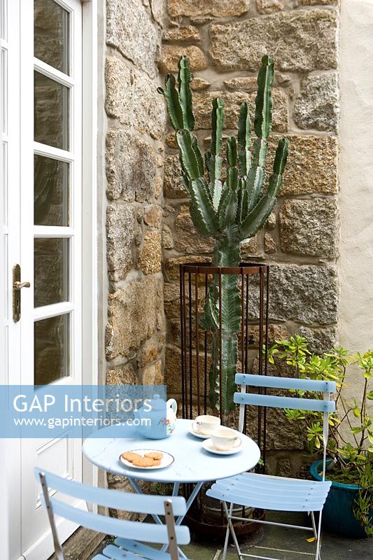 Cafe style table on terrace with large cactus plant 
