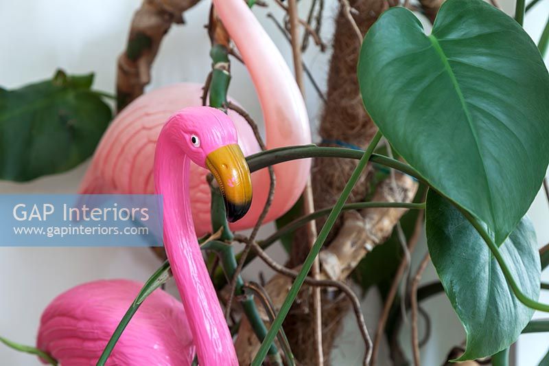 Close up house plant and toy flamingos 
