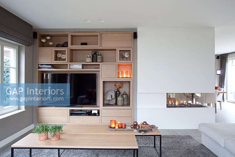 Wall unit in modern living room 