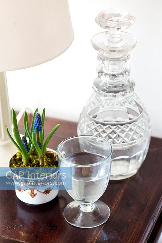 Decanter and glass on side table with potted grape hyacinth in flower 