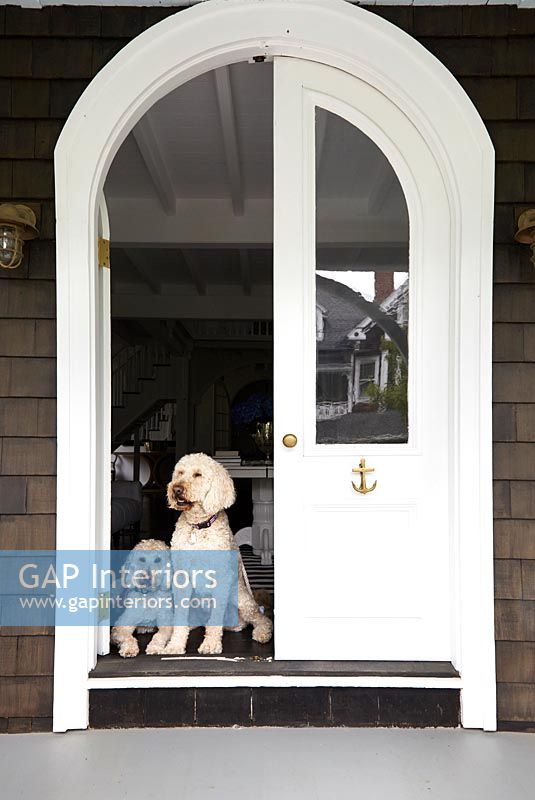 Traditional front door with pet dogs