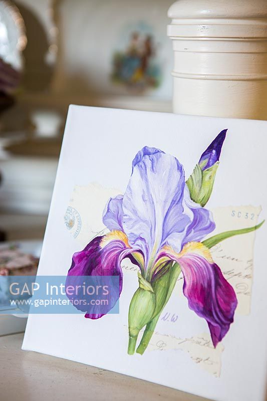 Painting of an iris flower on card 