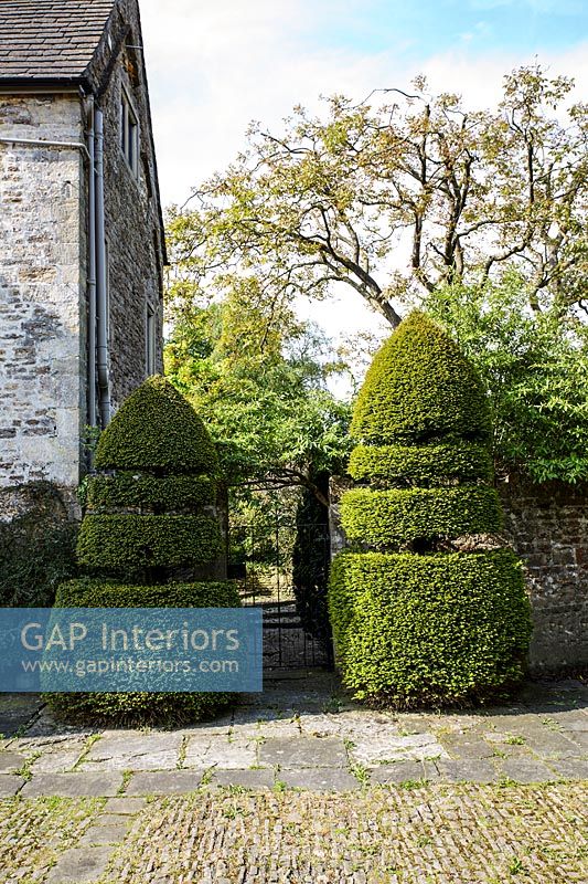 Topiary either side of garden gate 